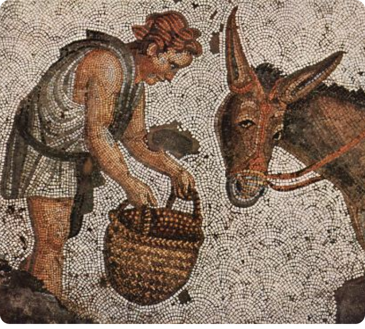 Donkey’s years or donkey’s ears?