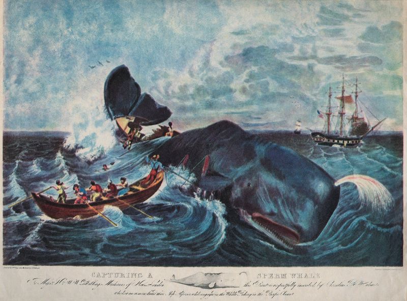 Moby Dick