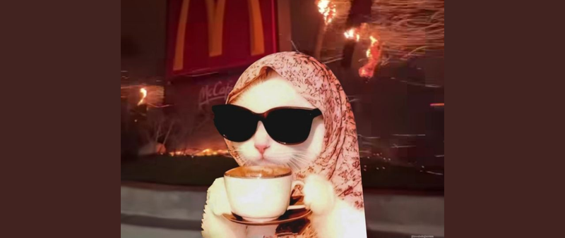 Gentrification. A story of cats and Italy