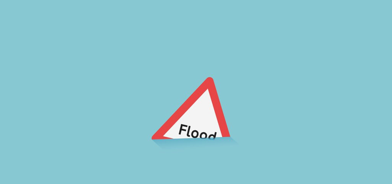 Flood the Zone
